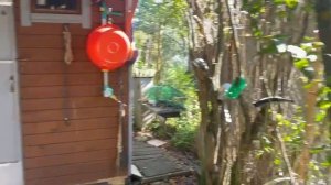 СНТ Ожерелье 13