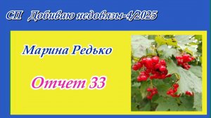 СП "Добиваю недовязы-4/2025" / Отчет 33
