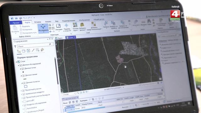В объективе натуралист. Золотарник. 12.08.2020 смотреть онлайн