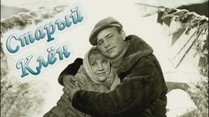 "СТАРЫЙ КЛЁН"  Шувалова Светлана