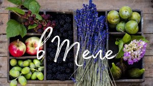 О питании. 7 групп продуктов для вашего организма.