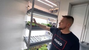 Стеллаж для микрозелени своими руками