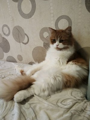 в роблокс потом