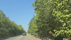 ИЗ МАКЕЕВКИ В ПАНТЕЛЕЙМОНОВКУ