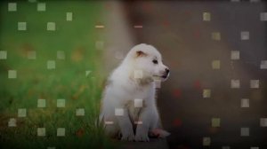 Dagda - Merlin's Cave