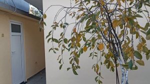 Последний день в Геленджике