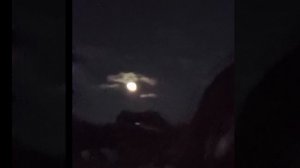 1000004881.mp4 Просто так