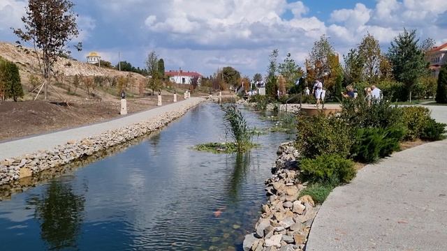 Диковинные рыбы.mp4 смотреть онлайн