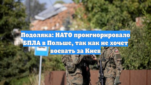 Подоляка: НАТО проигнорировало БПЛА в Польше, так как не хочет воевать за Киев