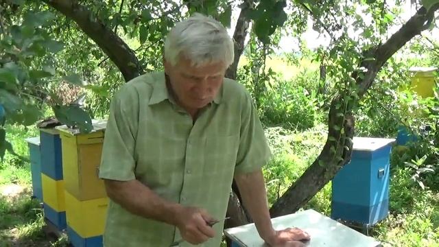 Экологический Улей Номер Один в Украине с Чистым Медо? смотреть онлайн