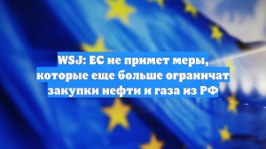 WSJ: ЕС не примет меры, которые еще больше ограничат закупки нефти и газа из РФ