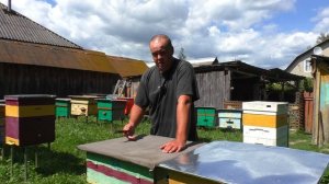 Что делать у пчёл нет мёда? Пчеловодство 2024