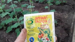 Эпин Экстра как использовать? Когда? Антистресс #земля