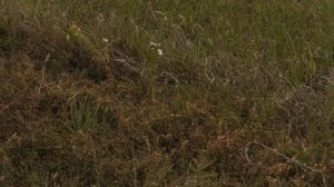 Экспертное мнение. Выпуск 133.