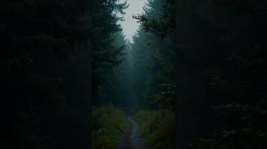 ИИ-ремикс Ветерок гр. Воскресение