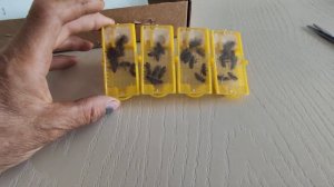 Пчеломатки карника с пасеки Ефименко.