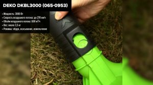 ТОП—7. Лучшие электрические воздуходувки и садовые пы