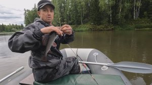 ТО , ЧТО КАЗАЛОСЬ НЕУДАЧНЫМ ДНЕМ , ПРЕВРАТИЛОСЬ В НАСТОЯЩИЙ ПРАЗДНИК .