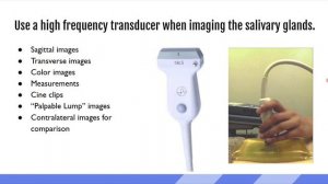 Слюнные железы - анатомия лекция для врачей УЗИ (сон)