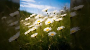 приветствую🤗