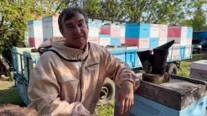 Пчеловодство || c чего начать? || часть первая