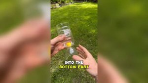 Горшок для рассады из пластиковой бутылки своими рука