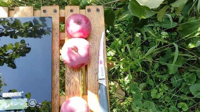 Яблоня Ред лав Эра/Redlove Era смотреть онлайн