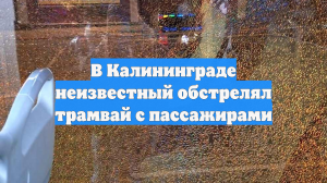 В Калининграде неизвестный обстрелял трамвай с пассажирами