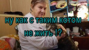№ 927 ну как с таким котом не жить!?