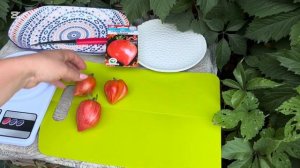 СОРТ ТОМАТА «СЕРДЦЕ КРАСНОГО ДРАКОНА»