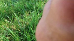 Когда косят траву все допускают эту ошибку