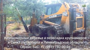 Машина для пересадки деревьев крупномеров в СПб от ко?