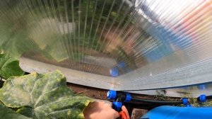 Сборка капельного полива в теплице своими руками