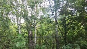 РЕСПЕКТАБЕЛЬНЫЙ УЧАСТОК у МЕТРО, леса до МКАД 1,5 км