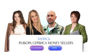 Где вести учет селлерам WB и OZON: прожарка сервиса MoneySellers
