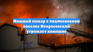 Мощный пожар в подмосковном поселке Некрасовский угрожает конюшне