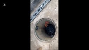 Вставка септик в колтца ( пластик емкость )