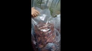 🛑Вся правда о Баркинвуд. Про качество коры, недовес и