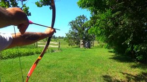 Для любителей традиционного лука. Каким не нужно дела?