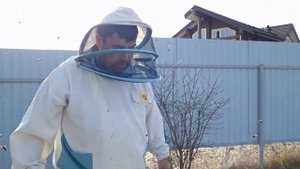 Весенний старт пчелосемей. Карника Пешец или Тройзек 1