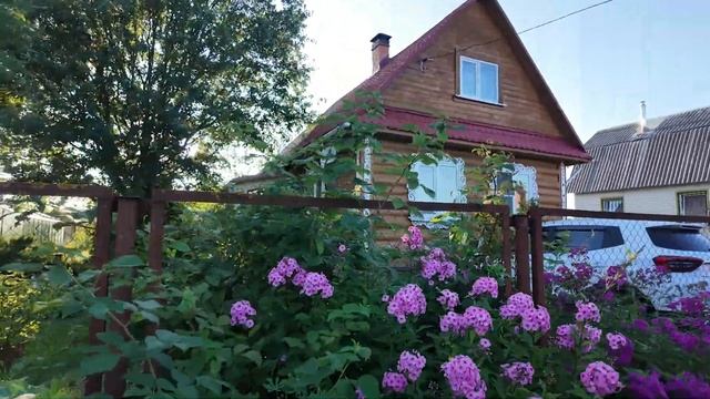 ДАЧНЫЙ ВЛОГ : Родной город, Шашлыки, Сад & Огород // SUMMER VL смотреть онлайн