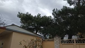 Мое жилье в Геленджике