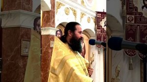 "ЗЛЫЕ ВИНОГРАДАРИ СЕГОДНЯ"