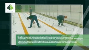 Презентация компании "Фитопирамида"