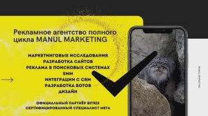Презентация MANUL MARKETING