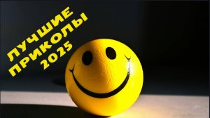 Лучшие приколы 2025 #002