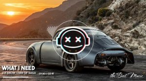 Avi Snow, LVAN Sif Saga - What I Need