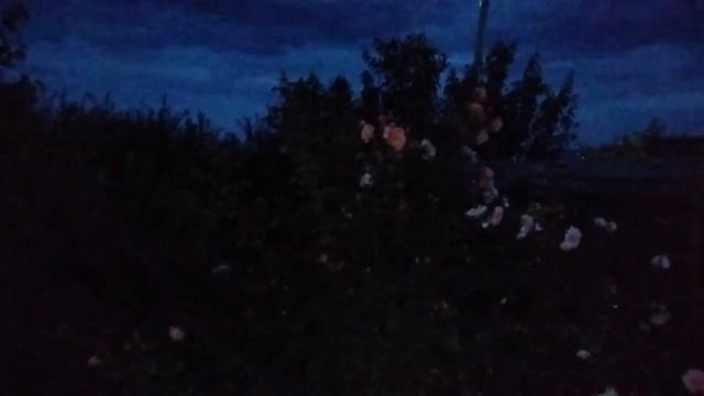 Ночные фонари на солнечной батарее /Дача и пасека на В? смотреть онлайн