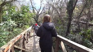 Алупка КРЫМ открытие Милютинского парка Старые дачи Ц