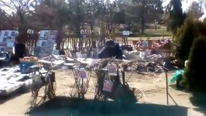 #Выставка-ярмарка #Дача #Сад #Огород март 2017 День пятый